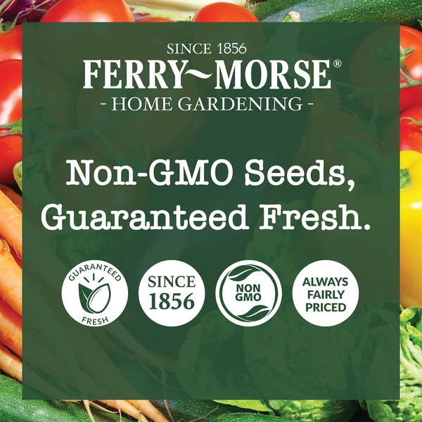Ferry-Morse home gardening advertisement with vegetables in the background